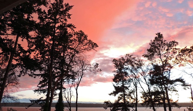 Highbank waterfront with hot tub, firepit, crab boat, pots and 2 single kayaks!