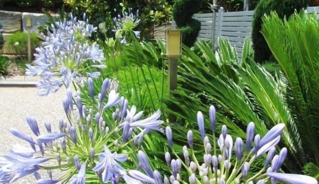 Highfields Motel Toowoomba