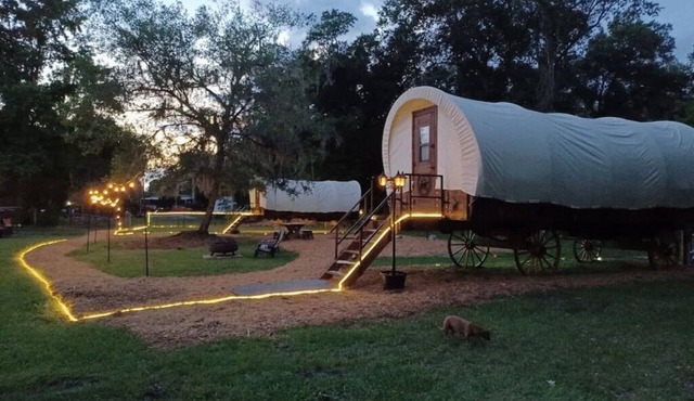 Highland Cow Glamping in a Cozy King Bed Wagon