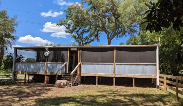 Highland Cow Sanctuary Farmhouse Stay