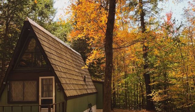 Highland Haus- Cozy 1975 Aframe Cabin- short walk to lake