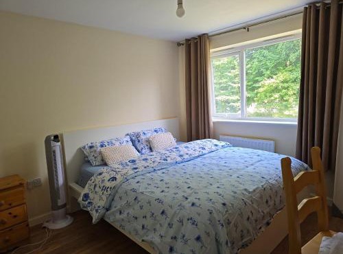 Highly Comfortable Home