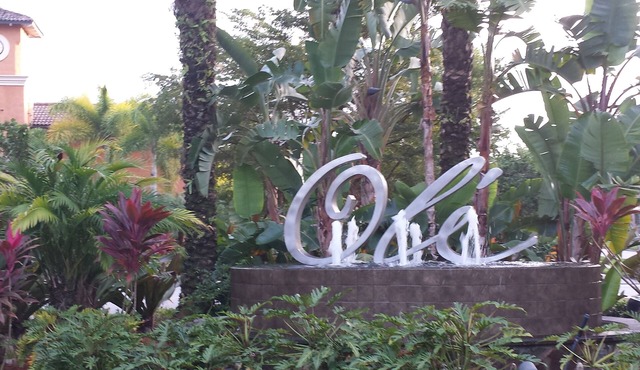 Highly Desired Ole Courtyard/Quad Condo. No Stairs, walk directly out to Pool.