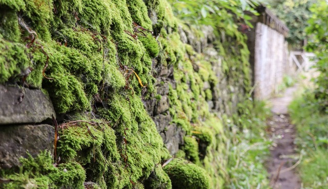 HIGHVIEW, pet friendly, with a garden in Haworth