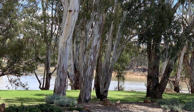 Highview Waters Resort Moama , overlooking the Murray River a premier property.