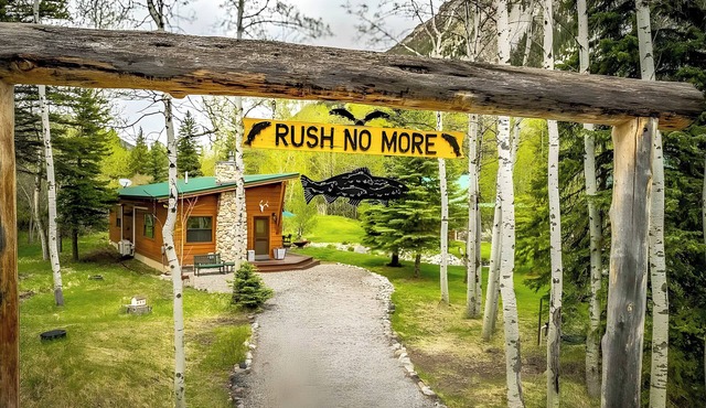 Hike, Fish & Bike: Mc Leod Home w/Fire Pit