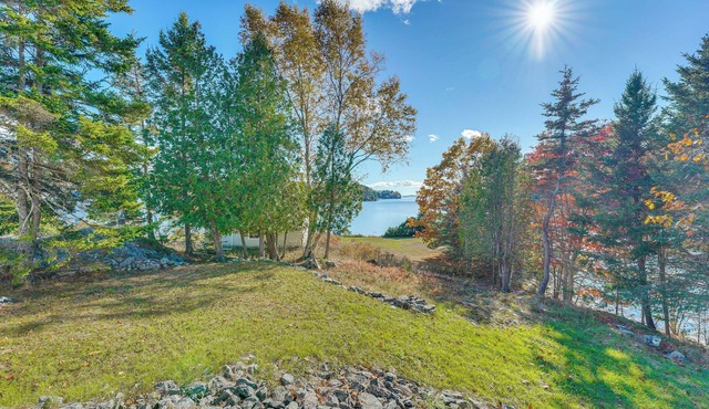 Hike, Fish & Unwind! 'Cora's Cove' Brooksville Gem