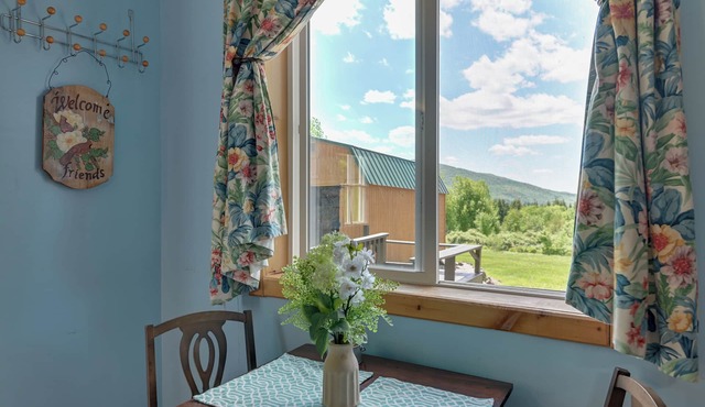 Hike, Fish & Unwind! Catskills Studio w/Mtn Views