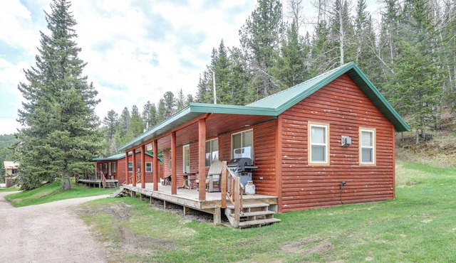 Hike, Ski, ATV & More: Deadwood Cabin w/Grill