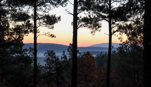 Hike the Ouachitas! Remote Mtn Hideaway w/Trails