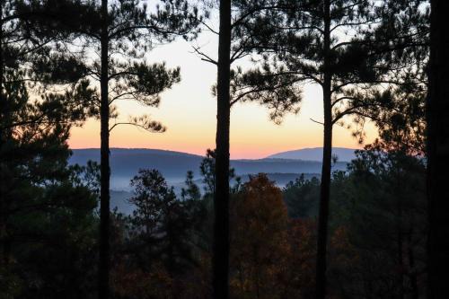 Hike the Ouachitas! Remote Mtn Hideaway with Trails