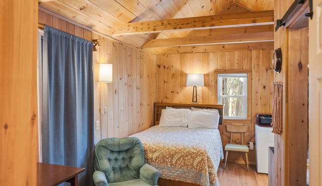 Hiker’s Retreat: Pet-Friendly Cabin in the Pines