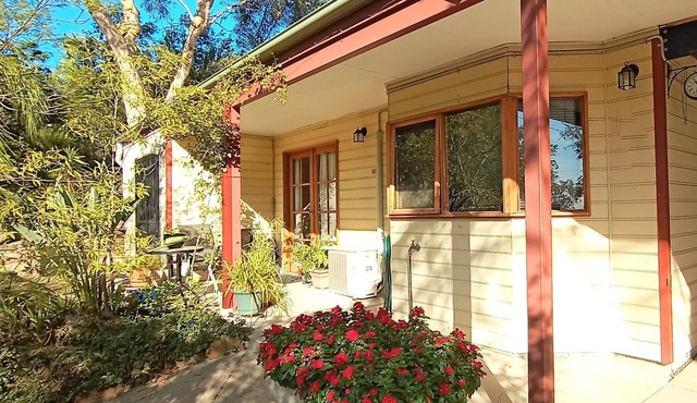 *Hikes*Trails*Mountain Biking*Close to Town*