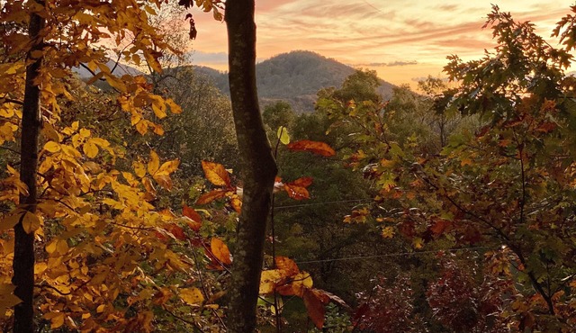 Hiking,Biking Closeby! Tasteful & Private, yet Central to Avl, Black Mtn, Luxury