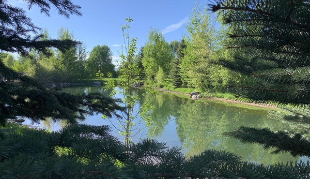 Hiking, Fishing, Biking, Skiing all within the valley 30 min from Jackson Hole