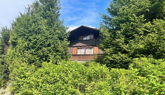 Hildegard switzerland