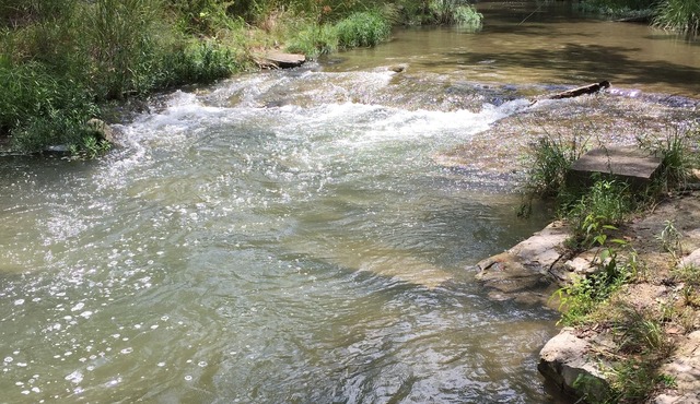 Hill Country Getaway with Guadalupe River access