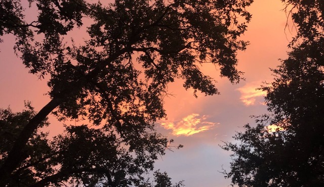 Hill country Studio, easy access to Downtown and Airport