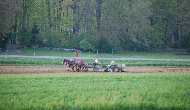 Hill Country Vista - Romantic suite on a tranquil countryside near Amish Country