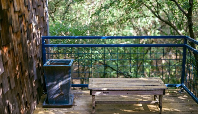 Hillcountry Views so close to Downtown! Austin Craftsman Style
