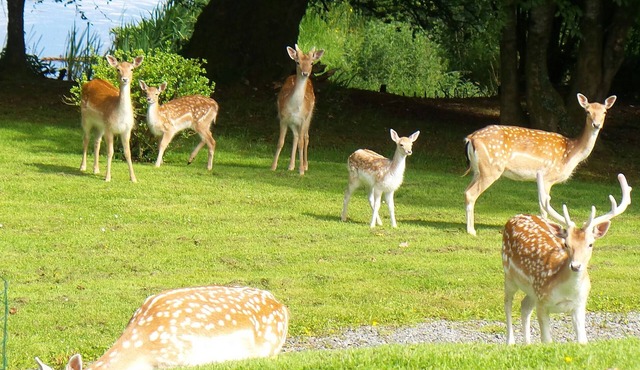 Hillfarm House Farmhouse