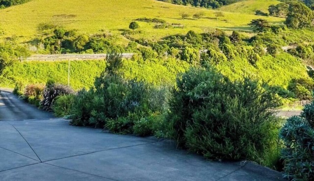 Hills View Studio @ Kiama Heights,This place has a style all its own.