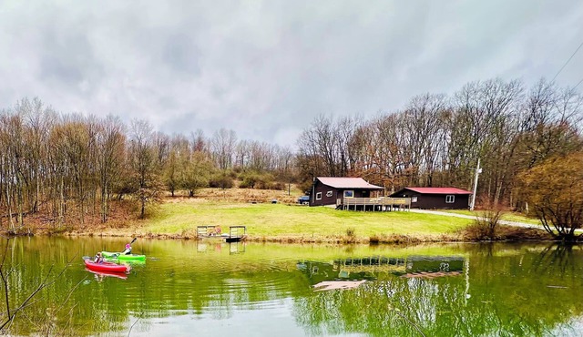 Hillside Cabin : Secluded Log Cabin on 15 Acres, Pond & trails. Near Woodbury