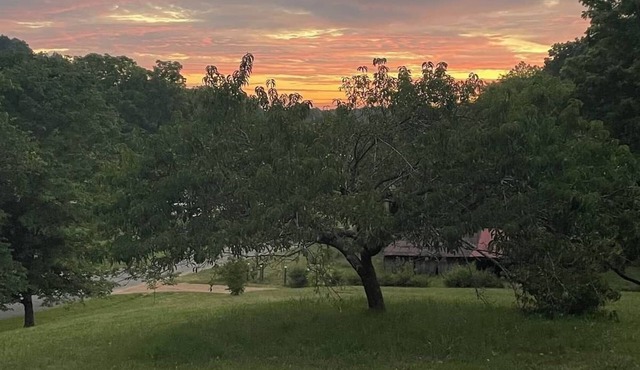 Hillside Retreat 3BR-2BA + Bonus Workspace & Views - sleeps 12