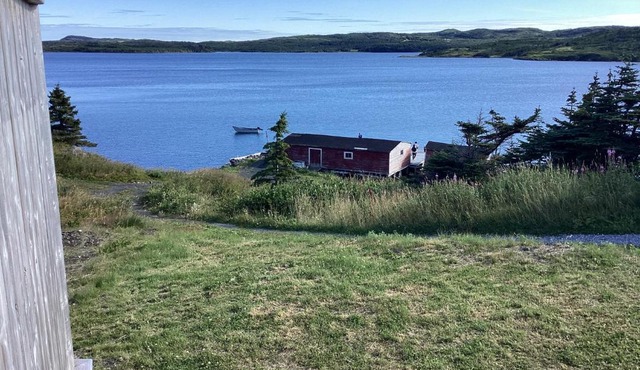 Hillsview Bed and Breakfast