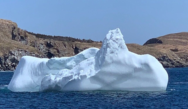 Hilltop Cottage steps from East Coast Trail, fishing & whale watching