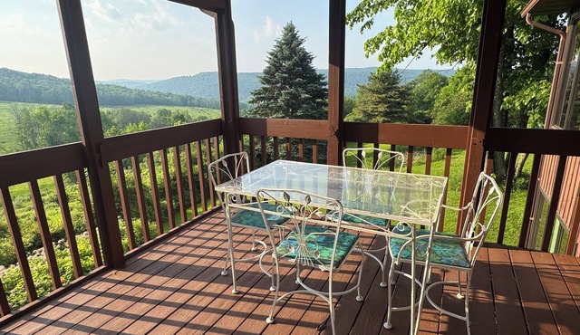 Hilltop, relax and enjoy nature's aviary atop the Endless Mountains.