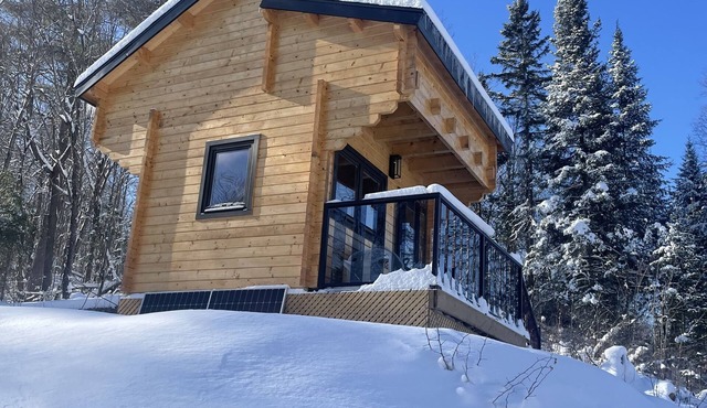 Hilltop treehouse located at the edge of Muskoka