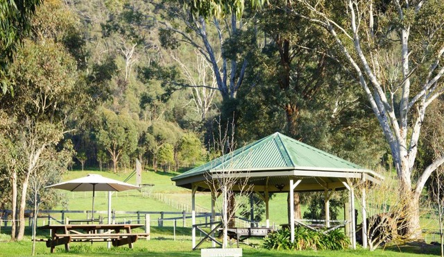 Hillview & Stringybark, Halls on Falls Homestead