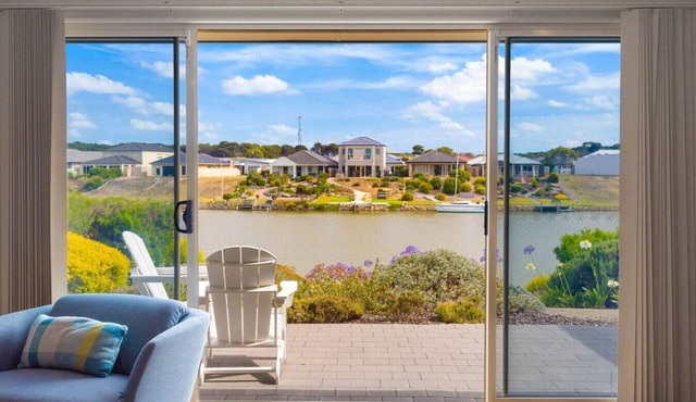 Hindmarsh Island - Pelicans on Parade