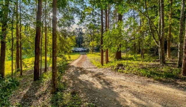 Hinterland retreat 20mins from Byron Bay
