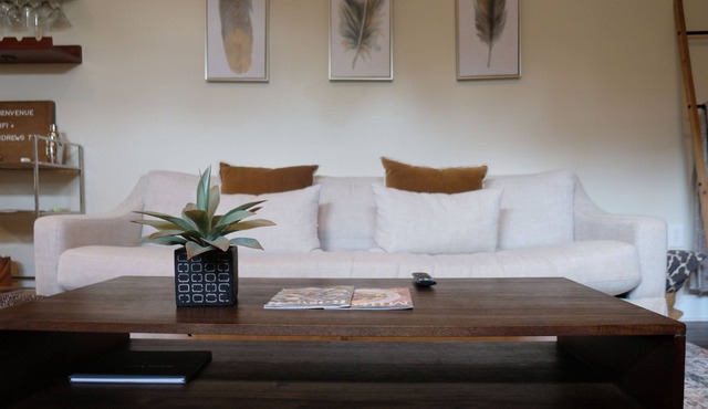 Hip Garage Apartment in Woodstock, Ga