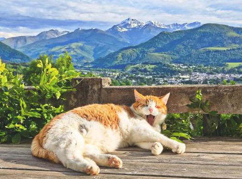 HiPyrenees - Top studio