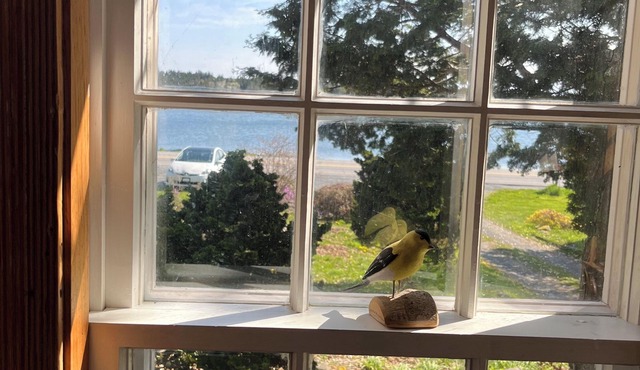 Historic 1785 Cape/46 acres/water views/6 min to Lunenburg and Hirtles Beach