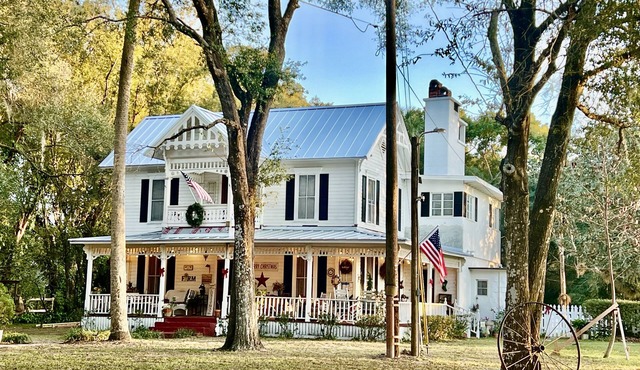 Historic 1920 Farmhouse on 6 acres,Huge Pool, Chef’s Kitchen,minutes to Mt Dora!