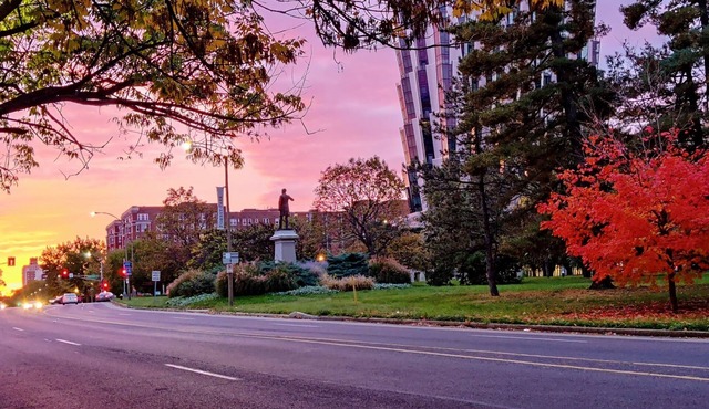 Historic 3-Bedroom Guest Suite · Prime Forest Park Location in Central West End