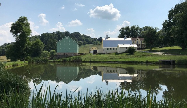 Historic 70-Acre Farm with Porches, Animals & Ponds