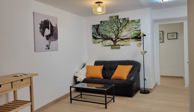 Historic apartment in the center of Haro with office.