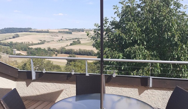 Historic cottage with panoramic terrace near Nancy