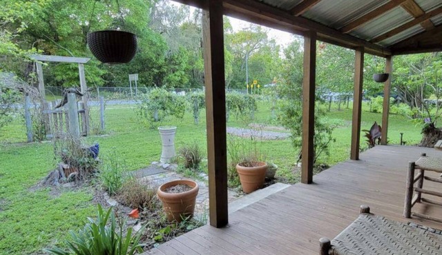 Historic Cabin Magic near Springs and UF