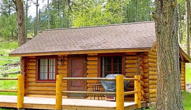 Historic Cabin next to Custer State Park, Private
