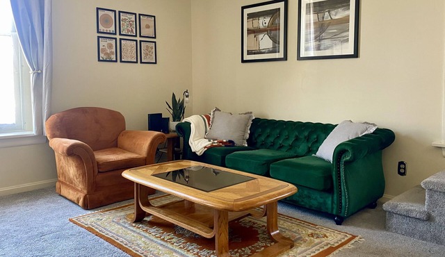 Historic Central Downtown Apartment Close to Allegheny