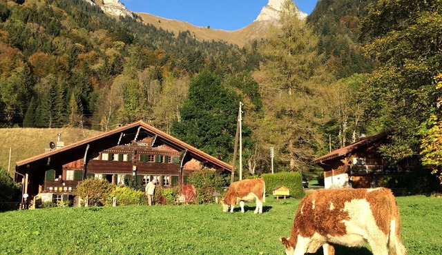 Historic chalet from 1714 in Plans-sur-Bex, Gryon-Villars-Les Diablerets