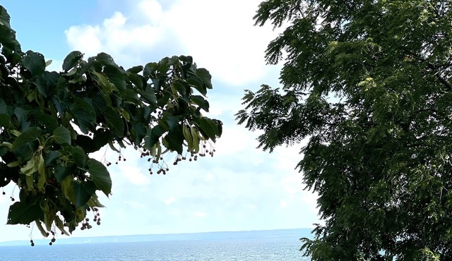 Historic & Charming Lakefront Gem in Burlington