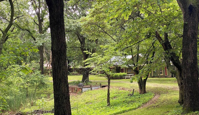 Historic Charming private 1-bedroom Cottage Home in Springfield with AC, WiFi