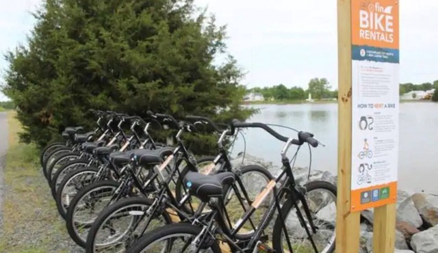 Historic Chesapeake City Stay